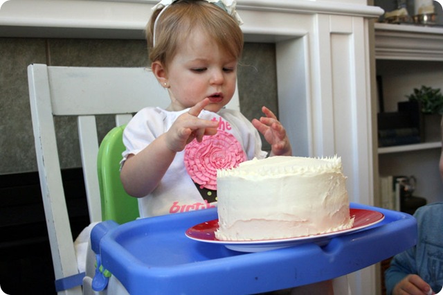 IMG_9515 IMG_9515