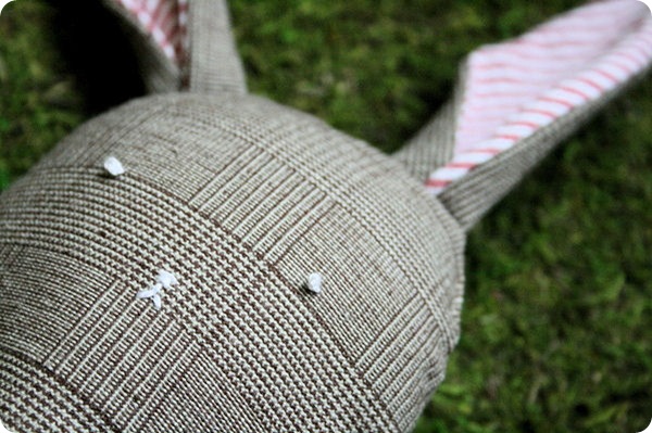 boy bunny close