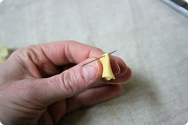 IMG_1067 IMG_1067