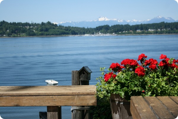 bainbridge