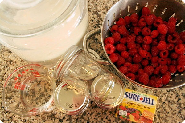 freezer jam ingredients freezer jam ingredients