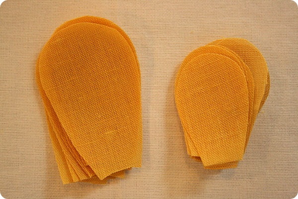 flower petals cut flower petals cut