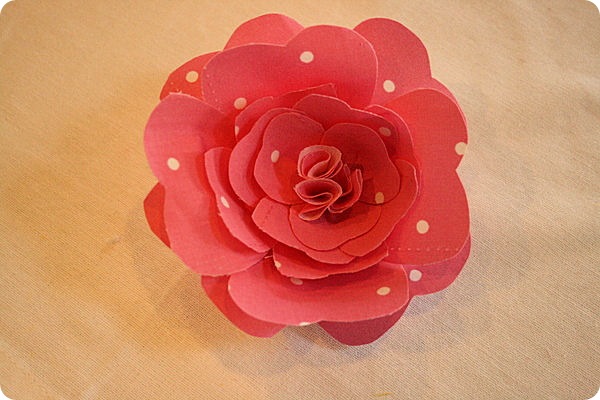pink starched flower pink starched flower
