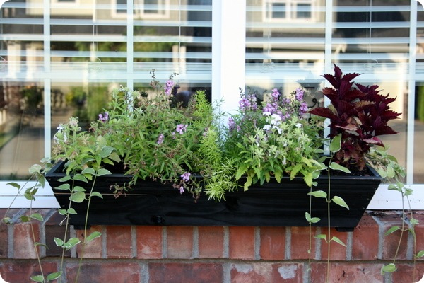 window box