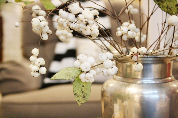 snowberries-in-vase