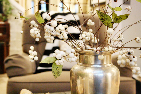 snowberries-wide