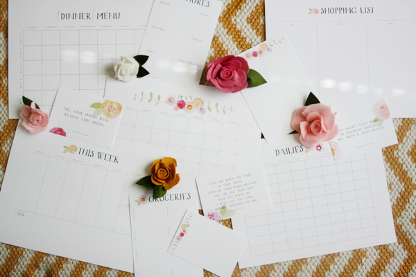 may-jdc-monthly-collection