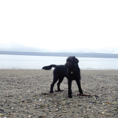 atlas-at-the-beach