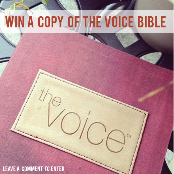win-a-copy-of-the-voice-bible